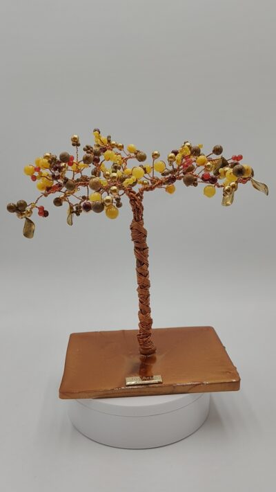 árbol aurora by JoyArbs - Ref: A119