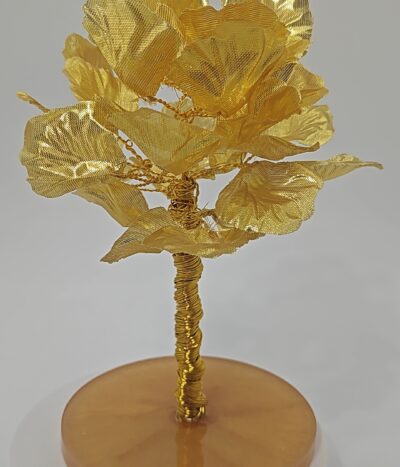 Arbol del amanecer dorado by JoyArbs - Ref: A120