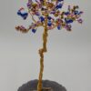 Árbol del Sendero Celestial by JoyArbs - Ref: A135