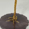 Árbol del Sendero Celestial by JoyArbs - Ref: A135