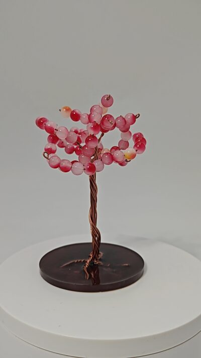 Árbol de Chispa de Amor by JoyArbs - Ref: A145