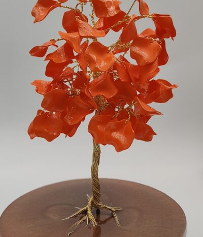 Árbol de Fuego Floral by JoyArbs - Ref: A146