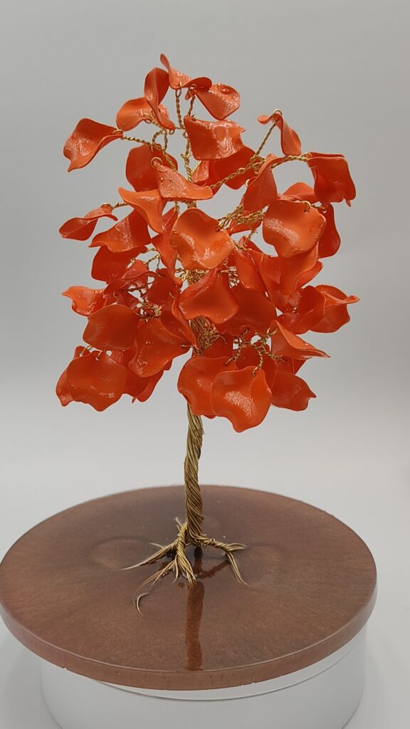 Árbol de Fuego Floral
