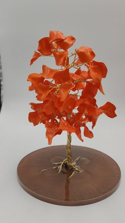Árbol de Fuego Floral by JoyArbs - Ref: A146