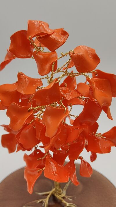 Árbol de Fuego Floral by JoyArbs - Ref: A146