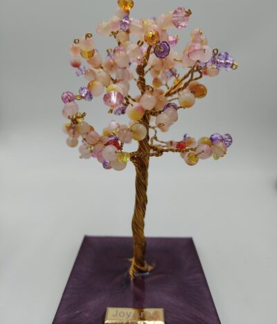 Árbol de Brisa Dulce by JoyArbs - Ref: A154