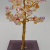 Árbol de Brisa Dulce by JoyArbs - Ref: A154