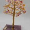 Árbol de Brisa Dulce by JoyArbs - Ref: A154