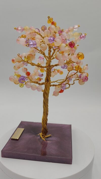 Árbol de Brisa Dulce by JoyArbs - Ref: A154
