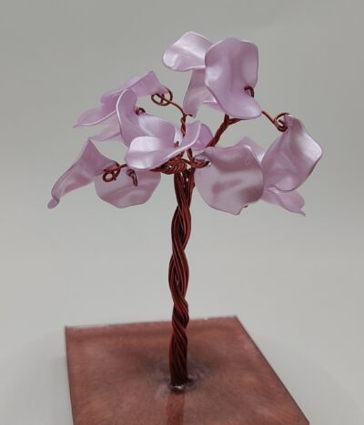 Árbol Rosa de Luz by JoyArbs - Ref: A156