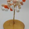 Árbol Dulce Comienzo by JoyArbs - Ref: A176