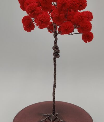 Árbol de Pasión en Espiral by JoyArbs - Ref: A177