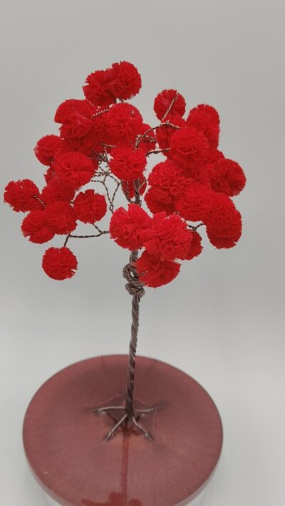Árbol de Pasión en Espiral by JoyArbs - Ref: A177