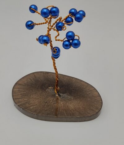 Árbol de Esencia Azul Silenciosa by JoyArbs - Ref: A216