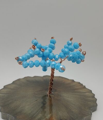 Árbol de Esperanza Azul Celeste by JoyArbs - Ref: A266