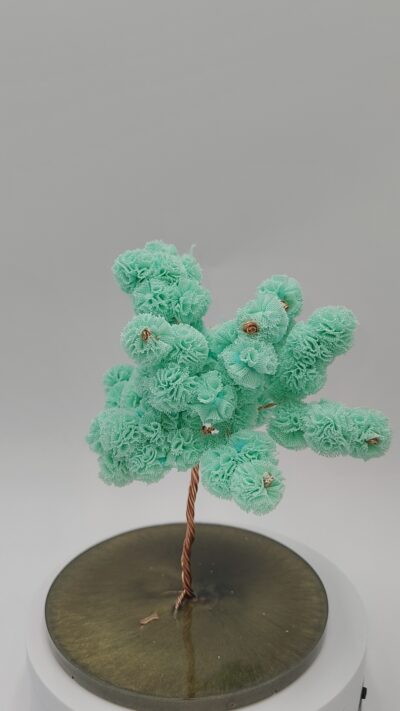 Árbol Osito Verde: Alegría y Plenitud by JoyArbs - Ref: A273