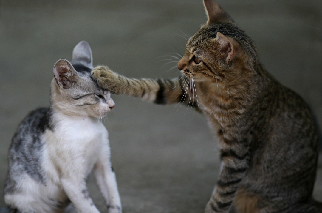 Relaciones que enganchan