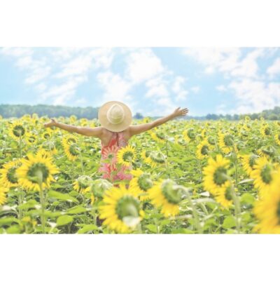 Coaching de Acompañamiento Emocional y Conexión Contigo (Online)