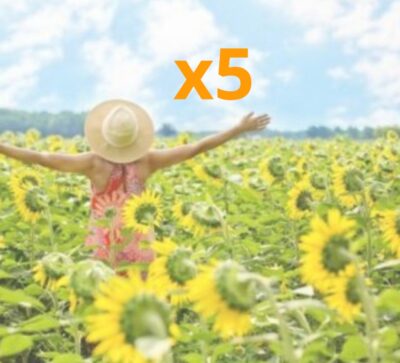 Coaching de Acompañamiento Emocional y Conexión Contigo - Pack de 5 sesiones (Online)