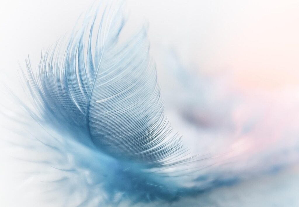 coaching_acompanamiento_duelo