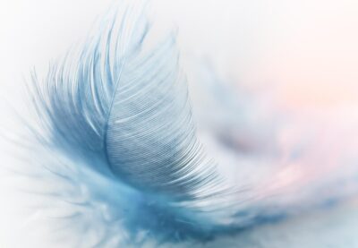 Sesiones de acompañamiento al duelo por la pérdida de un ser querido (Online)